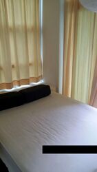 Palm Oasis (D15), Apartment #519943541